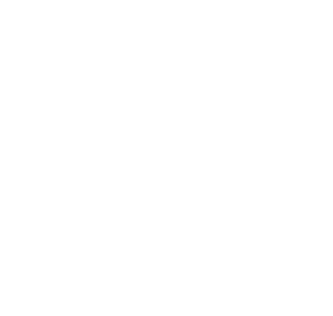 Suzuki outboard motors